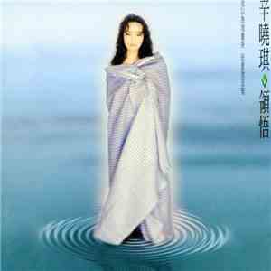 辛曉琪 - 領悟 flac album