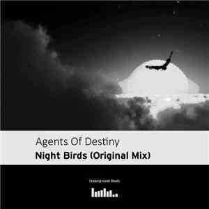 Agents Of Destiny - Night Birds flac album