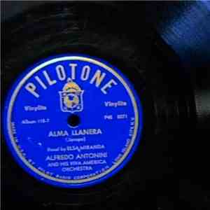 Alfredo Antonini And The Viva America Orchestra, Elsa Miranda - Alfredo Antonini And His Viva America Orchestra flac album