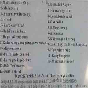 B. Bíró Zoltán, Trencsényi Zoltán - Hattyúszervíz 1989-1992 flac album