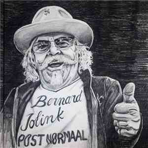 Bernard Jolink - Post Normaal flac album