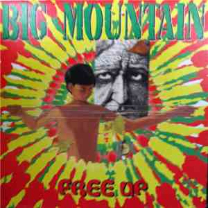 Big Mountain - Free Up flac album