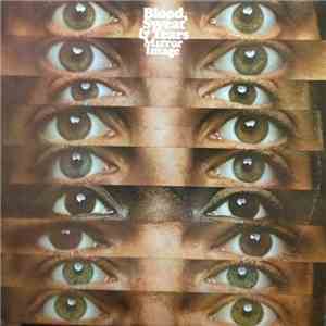 Blood, Sweat & Tears - Mirror Image flac album