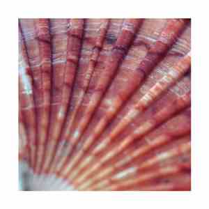 Christopher Cold Hands - Bunker / I Like That flac album