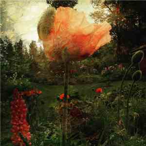 Dan Söderqvist - Dark Flowers Awake flac album