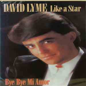 David Lyme - Like A Star flac album
