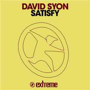 David Syon - Satisfy flac album