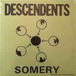 Descendents - Somery flac album