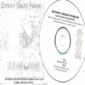 Detroit Grand Pubahs - Skydive From Venus flac album