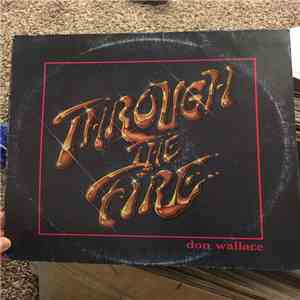 Don Wallace  - Through The Fire flac album