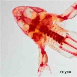 Ex You - Ex You flac album