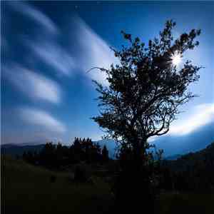 Ignacio Tardieu - Vierring flac album