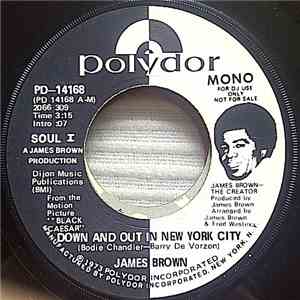 James Brown - Down And Out In New York City flac album