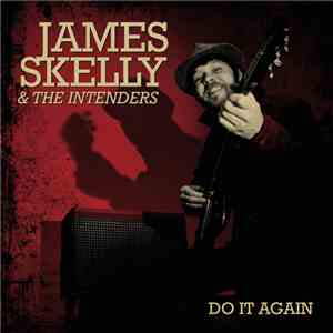 James Skelly & The Intenders - Do It Again flac album