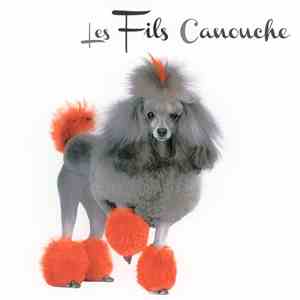 Les Fils Canouche - En attendant mon steak flac album