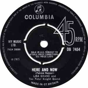 Lisa Shane - Here And Now flac album