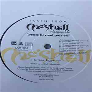 Me'Shell NdegéOcello - Leviticus: Faggot flac album