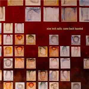 Nine Inch Nails - Came Back Haunted flac album