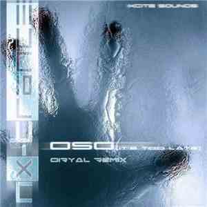 NX-Trance - Oso [It's Too Late] (Oiryal Remix) flac album