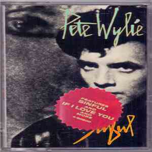 Pete Wylie - Sinful flac album