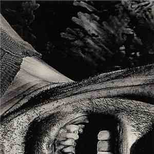 Rag Mother - Erect No Marker flac album