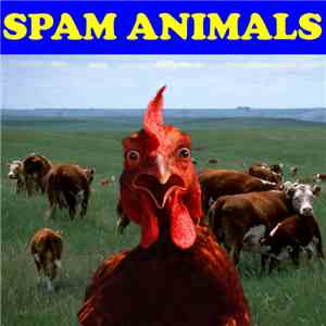 Spam Animals - Spam Animals flac album
