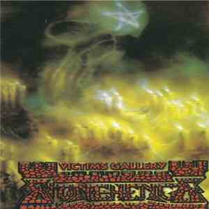 Stonehenge  - Victim's Gallery flac album