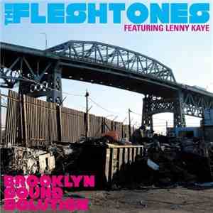The Fleshtones & Lenny Kaye - Brooklyn Sound Solution flac album