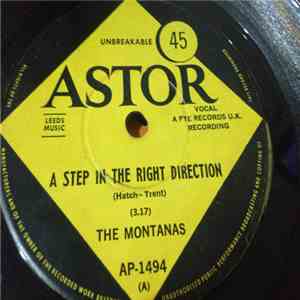The Montanas - Step In The Right Direction flac album