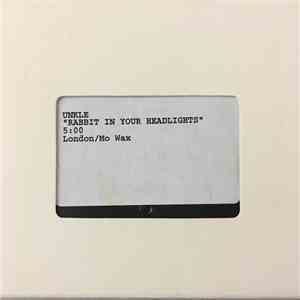 UNKLE - Rabbit In Your Headlights flac album