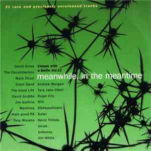 Various - Comes With A Smile Vol.12 (Meanwhile, In The Meantime) flac album