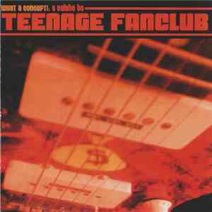 Various - What A Concept!: A Salute To Teenage Fanclub flac album