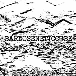 Bardoseneticcube - DroBussy flac album