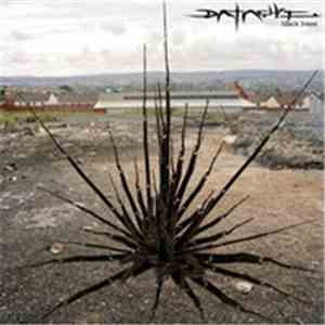 Datach'i - Black Trees flac album