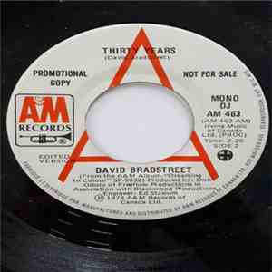 David Bradstreet - Thirty Years flac album