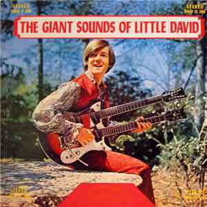 David Smith  - The Giant Sounds Of Little David flac album