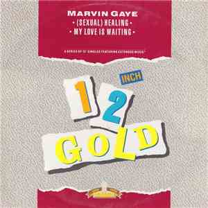 Marvin Gaye - (Sexual) Healing / My Love Is Waiting flac album