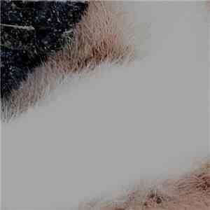 N / [ B O L T ] - N / [ B O L T ] flac album