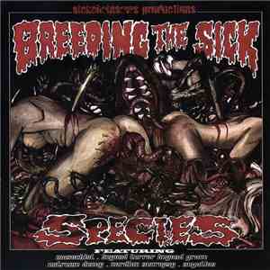 Negation  / Cardiac Necropsy / Extreme Decay / Masochist / BTBG - Breeding The Sick Species - 5 Way Split flac album