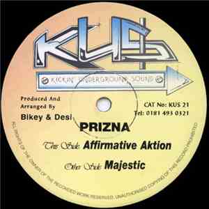 Prizna - Affirmative Aktion / Majestic flac album
