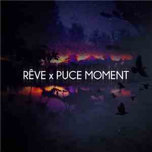 Rêve  x Puce Moment - EICV7" No. 84 flac album