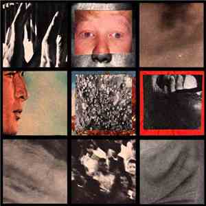 SFN / In Disgust - SFN / In Disgust flac album