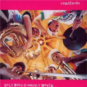 Streetnix  - Ugly Bags Of Mostly Water flac album