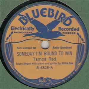 Tampa Red / Little Brother - Someday I'm Bound To Win / Never Go Wrong Blues flac album
