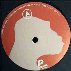 The Celtic Sons - Plasma Farm E.P. flac album