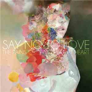 The Pains Of Being Pure At Heart - Say No To Love flac album