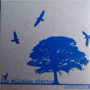 The Solexine Chapter - Amertumes flac album