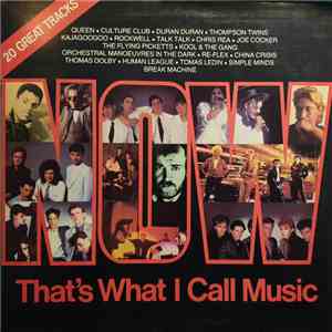 Various - Now That's What I Call Music flac album