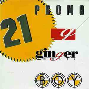 Various - Promo 21 flac album