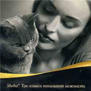 Various - Так Кошки Понимают Нежность flac album